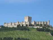 penafiel