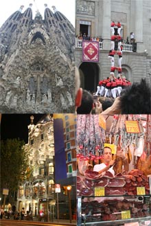 2006