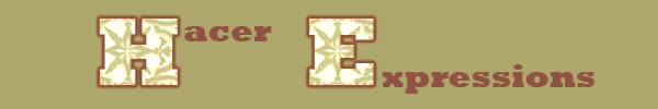 hacer expressions