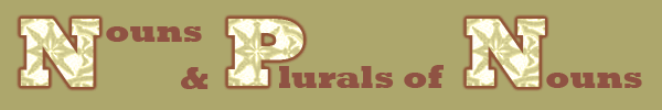 nouns and plurals